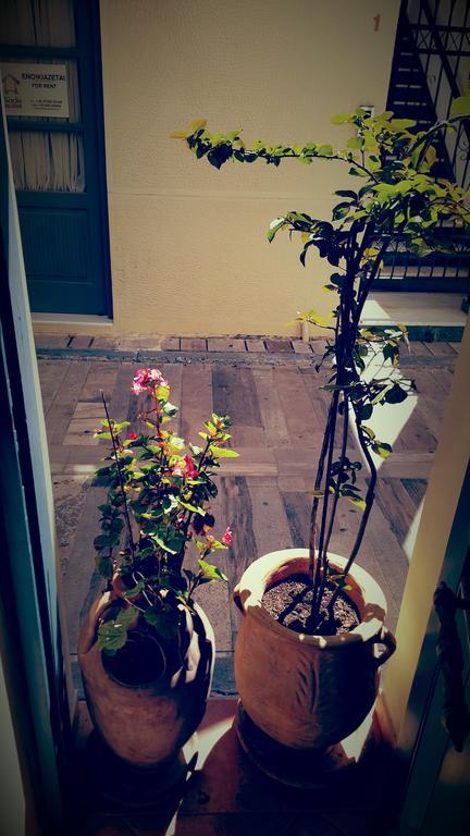 Polyxenia Nafplio